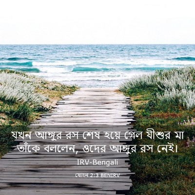 Picture 03 - যোহন 2:3 BENIRV - যখন আঙ্গুর রস শেষ - Bible Verse Picture