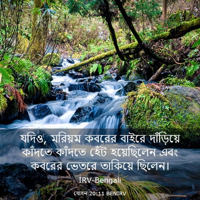 Picture 03 - যোহন 20:11 BENIRV - যদিও, মরিয়ম কবরের - Bible Verse Picture