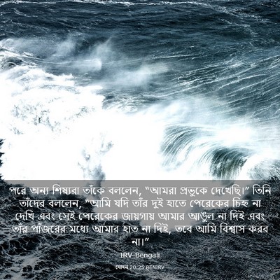 Picture 03 - যোহন 20:25 BENIRV - পরে অন্য শিষ্যরা - Bible Verse Picture