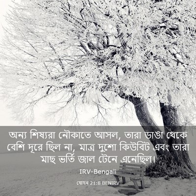 Picture 03 - যোহন 21:8 BENIRV - অন্য শিষ্যরা - Bible Verse Picture