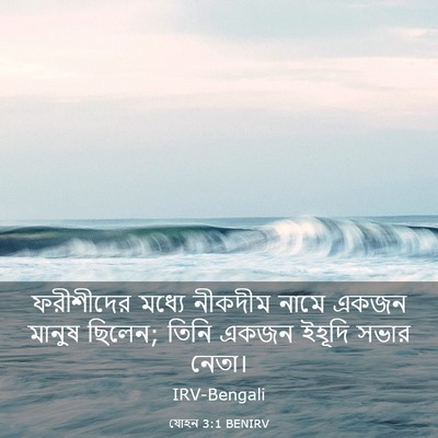 Picture 03 - যোহন 3:1 BENIRV - ফরীশীদের মধ্যে - Bible Verse Picture