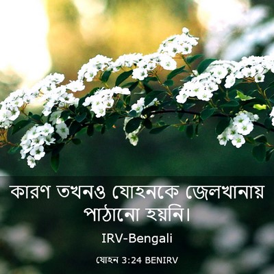 Picture 03 - যোহন 3:24 BENIRV - কারণ তখনও যোহনকে - Bible Verse Picture