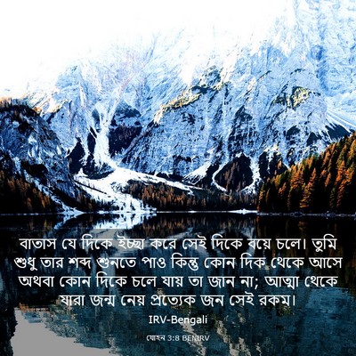 Picture 03 - যোহন 3:8 BENIRV - বাতাস যে দিকে - Bible Verse Picture