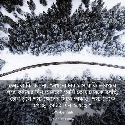 Picture 03 - যোহন 4:35 BENIRV - তোমরা কি বল না, - Bible Verse Picture