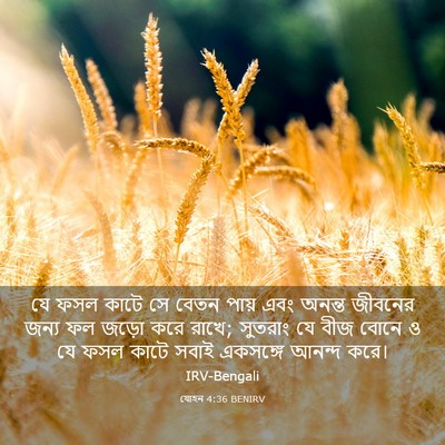 Picture 03 - যোহন 4:36 BENIRV - যে ফসল কাটে সে বেতন - Bible Verse Picture