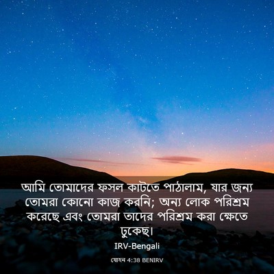 Picture 03 - যোহন 4:38 BENIRV - আমি তোমাদের ফসল - Bible Verse Picture