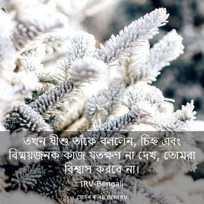 Picture 03 - যোহন 4:48 BENIRV - তখন যীশু তাঁকে - Bible Verse Picture