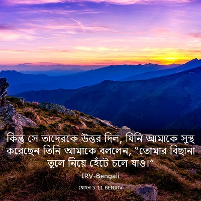 Picture 03 - যোহন 5:11 BENIRV - কিন্তু সে তাদেরকে - Bible Verse Picture
