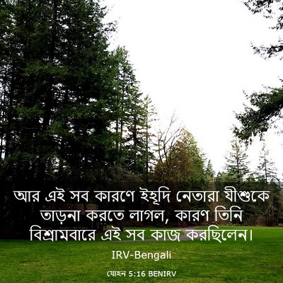 Picture 03 - যোহন 5:16 BENIRV - আর এই সব কারণে - Bible Verse Picture