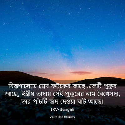 Picture 03 - যোহন 5:2 BENIRV - যিরূশালেমে মেষ - Bible Verse Picture
