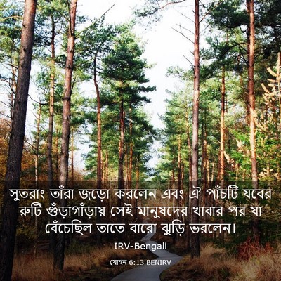 Picture 03 - যোহন 6:13 BENIRV - সুতরাং তাঁরা জড়ো - Bible Verse Picture