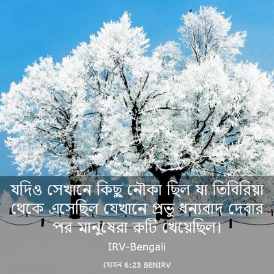 Picture 03 - যোহন 6:23 BENIRV - যদিও সেখানে কিছু - Bible Verse Picture