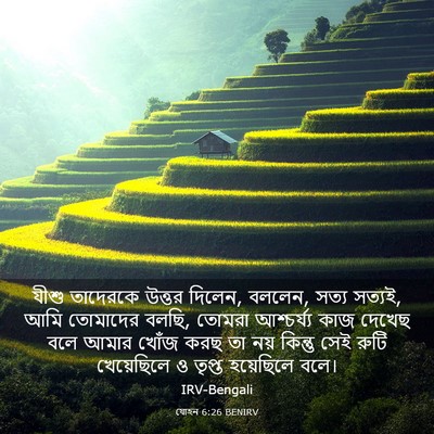Picture 03 - যোহন 6:26 BENIRV - যীশু তাদেরকে - Bible Verse Picture