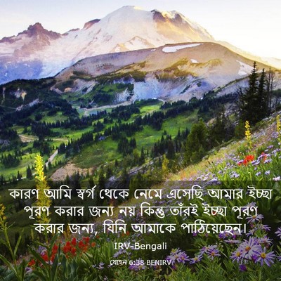 Picture 03 - যোহন 6:38 BENIRV - কারণ আমি স্বর্গ - Bible Verse Picture
