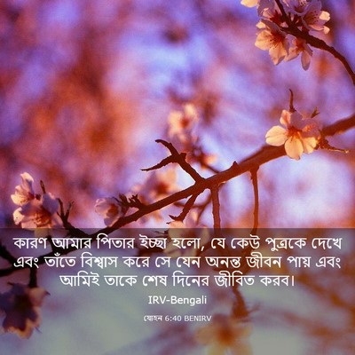Picture 03 - যোহন 6:40 BENIRV - কারণ আমার পিতার - Bible Verse Picture