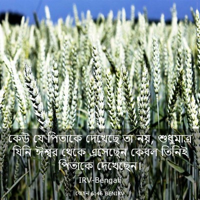Picture 03 - যোহন 6:46 BENIRV - কেউ যে পিতাকে - Bible Verse Picture