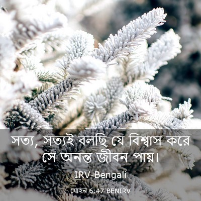 Picture 03 - যোহন 6:47 BENIRV - সত্য, সত্যই বলছি যে - Bible Verse Picture