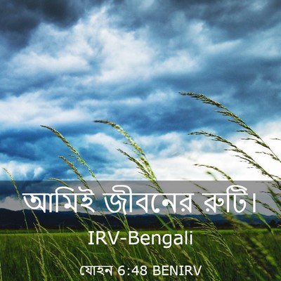 Picture 03 - যোহন 6:48 BENIRV - আমিই জীবনের - Bible Verse Picture