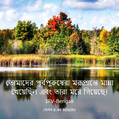 Picture 03 - যোহন 6:49 BENIRV - তোমাদের - Bible Verse Picture