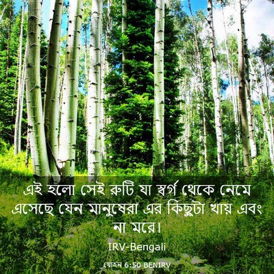 Picture 03 - যোহন 6:50 BENIRV - এই হলো সেই রুটি যা - Bible Verse Picture