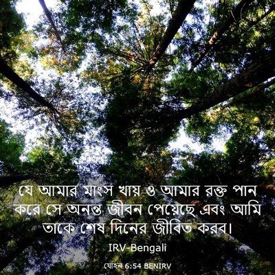 Picture 03 - যোহন 6:54 BENIRV - যে আমার মাংস খায় ও - Bible Verse Picture