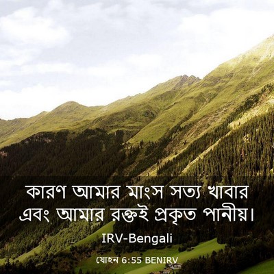Picture 03 - যোহন 6:55 BENIRV - কারণ আমার মাংস - Bible Verse Picture