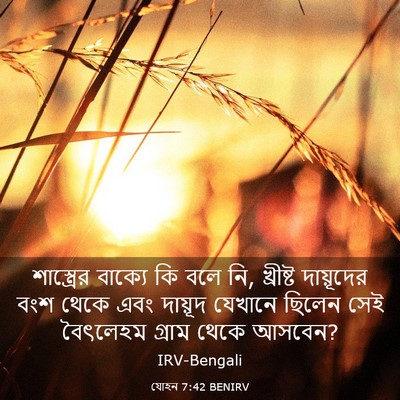 Picture 03 - যোহন 7:42 BENIRV - শাস্ত্রের বাক্যে - Bible Verse Picture