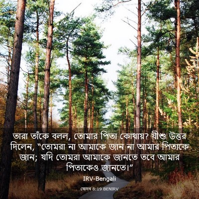Picture 03 - যোহন 8:19 BENIRV - তারা তাঁকে বলল, - Bible Verse Picture