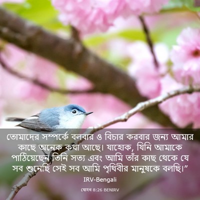 Picture 03 - যোহন 8:26 BENIRV - তোমাদের সম্পর্কে - Bible Verse Picture