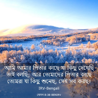 Picture 03 - যোহন 8:38 BENIRV - আমি আমার পিতার - Bible Verse Picture