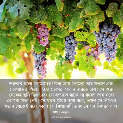 Picture 03 - যোহন 8:44 BENIRV - শয়তান হলো - Bible Verse Picture