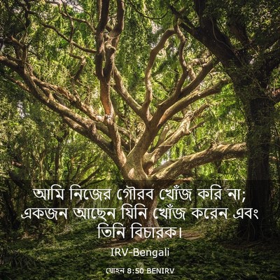 Picture 03 - যোহন 8:50 BENIRV - আমি নিজের গৌরব - Bible Verse Picture