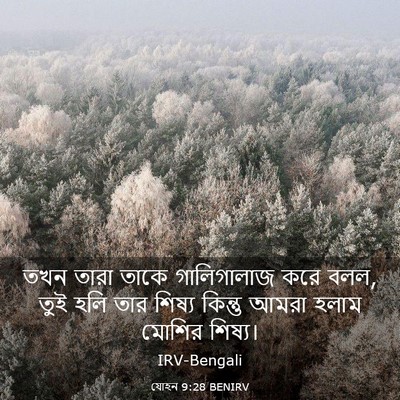 Picture 03 - যোহন 9:28 BENIRV - তখন তারা তাকে - Bible Verse Picture
