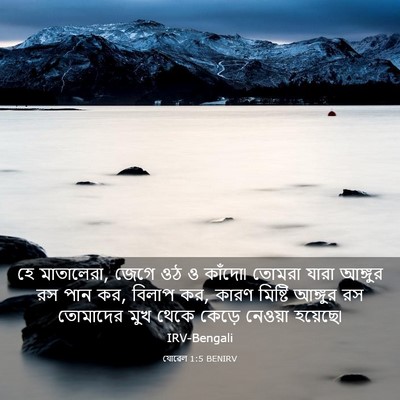 Picture 03 - যোৱেল 1:5 BENIRV - হে মাতালেরা, জেগে - Bible Verse Picture