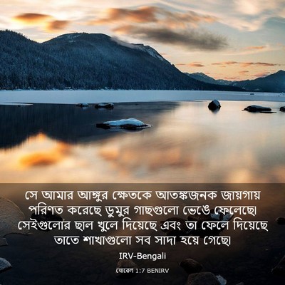 Picture 03 - যোৱেল 1:7 BENIRV - সে আমার আঙ্গুর - Bible Verse Picture