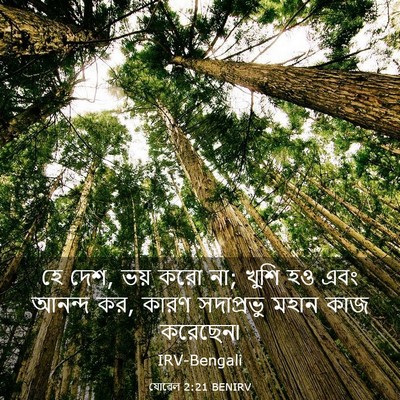 Picture 03 - যোৱেল 2:21 BENIRV - হে দেশ, ভয় করো না; - Bible Verse Picture