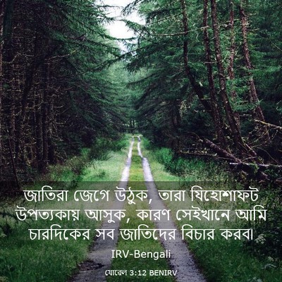 Picture 03 - যোৱেল 3:12 BENIRV - জাতিরা জেগে উঠুক, - Bible Verse Picture