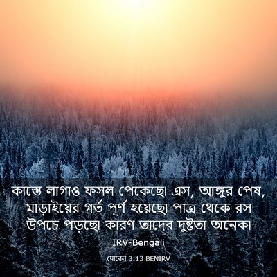 Picture 03 - যোৱেল 3:13 BENIRV - কাস্তে লাগাও ফসল - Bible Verse Picture