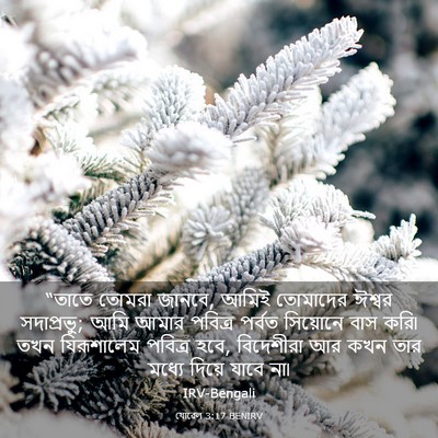 Picture 03 - যোৱেল 3:17 BENIRV - “তাতে তোমরা জানবে, - Bible Verse Picture