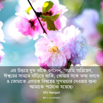 Picture 03 - লূক 1:19 BENIRV - এর উত্তরে দূত - Bible Verse Picture