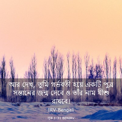 Picture 03 - লূক 1:31 BENIRV - আর দেখ, তুমি - Bible Verse Picture