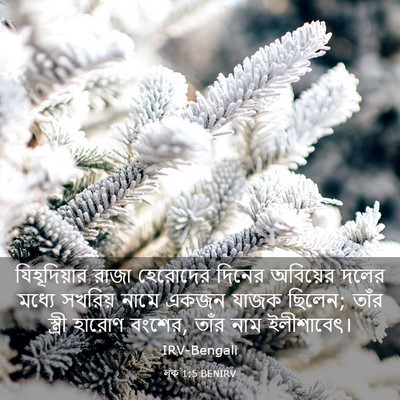 Picture 03 - লূক 1:5 BENIRV - যিহূদিয়ার রাজা - Bible Verse Picture