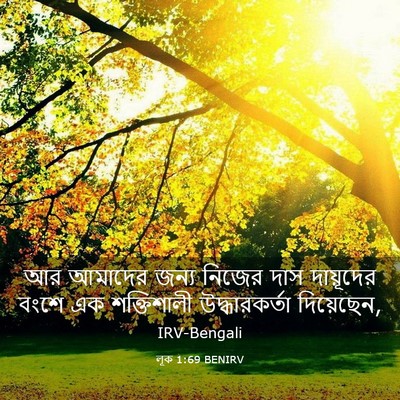 Picture 03 - লূক 1:69 BENIRV - আর আমাদের জন্য - Bible Verse Picture