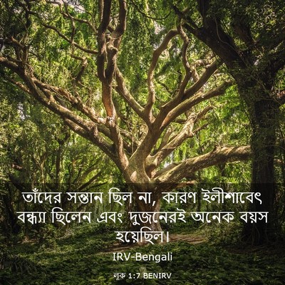 Picture 03 - লূক 1:7 BENIRV - তাঁদের সন্তান ছিল - Bible Verse Picture