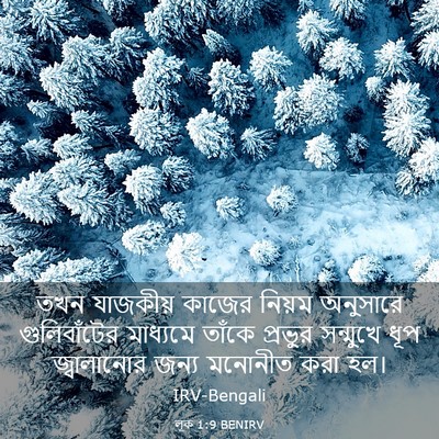 Picture 03 - লূক 1:9 BENIRV - তখন যাজকীয় কাজের - Bible Verse Picture