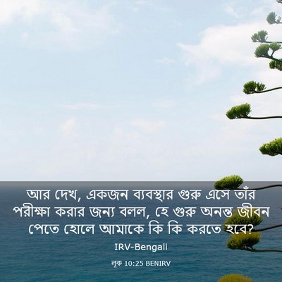 Picture 03 - লূক 10:25 BENIRV - আর দেখ, একজন - Bible Verse Picture