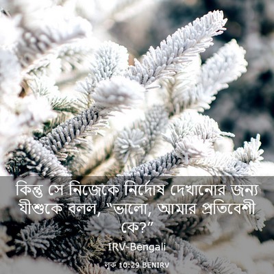Picture 03 - লূক 10:29 BENIRV - কিন্তু সে নিজেকে - Bible Verse Picture