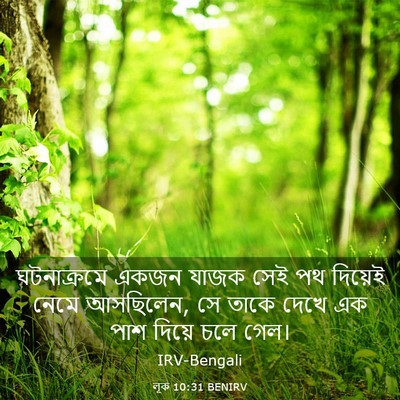 Picture 03 - লূক 10:31 BENIRV - ঘটনাক্রমে একজন - Bible Verse Picture