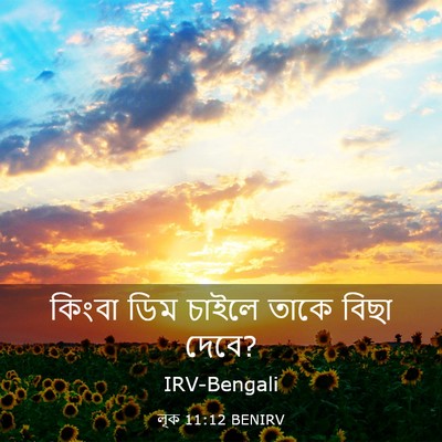 Picture 03 - লূক 11:12 BENIRV - কিংবা ডিম চাইলে - Bible Verse Picture