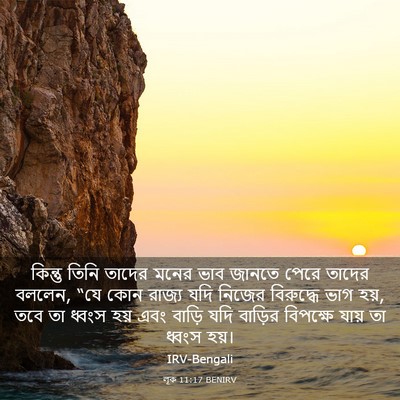 Picture 03 - লূক 11:17 BENIRV - কিন্তু তিনি তাদের - Bible Verse Picture